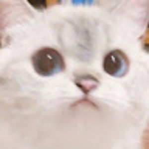 Meet your Posher, Emem